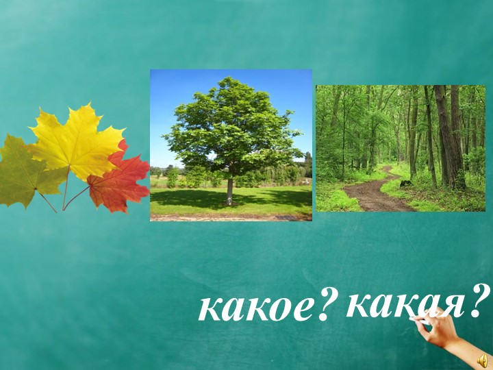 Презентация к уроку "Имя прилагательное" - Скачать презентации бесплатно | Читать или скачать учебники для школы онлайн бесплатно ☑ Школьные учебники school-textbook.com