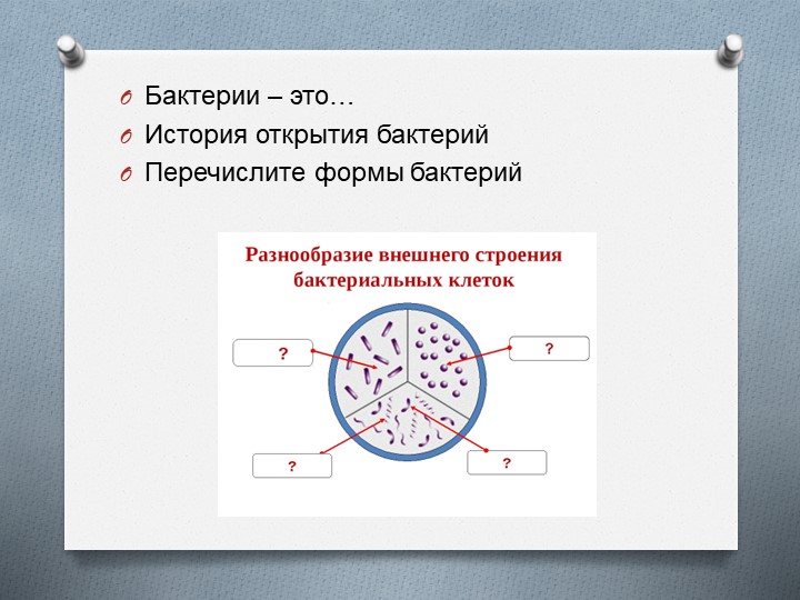 Презентация на тему: "Бактерии. Повторение" - Скачать презентации бесплатно | Читать или скачать учебники для школы онлайн бесплатно ☑ Школьные учебники school-textbook.com