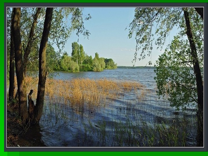 Презентация М.М. Пришвин "Выскочка" - Скачать презентации бесплатно | Читать или скачать учебники для школы онлайн бесплатно ☑ Школьные учебники school-textbook.com