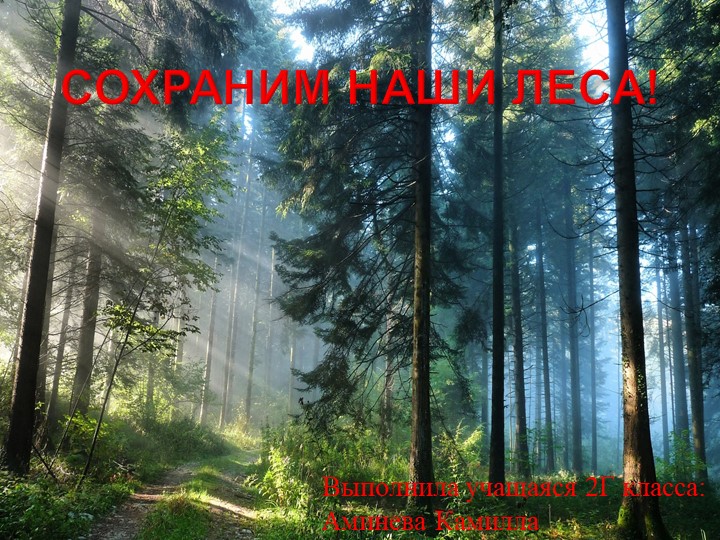 Презентация на тему "Сохраним наши леса" - Скачать презентации бесплатно | Читать или скачать учебники для школы онлайн бесплатно ☑ Школьные учебники school-textbook.com