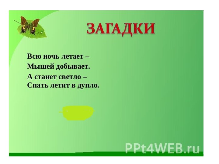 Презентация "Общие признаки птиц. Внешнее строение." (8 класс) - Скачать презентации бесплатно | Читать или скачать учебники для школы онлайн бесплатно ☑ Школьные учебники school-textbook.com