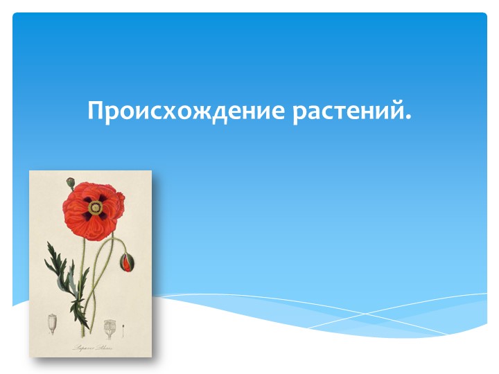 Презентация По теме: "Происхождение растений." 6 класс - Скачать презентации бесплатно | Читать или скачать учебники для школы онлайн бесплатно ☑ Школьные учебники school-textbook.com