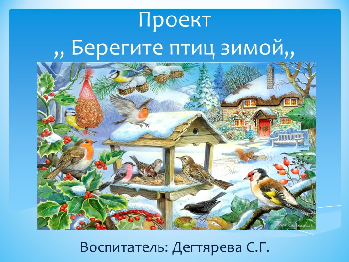 Презентация Проект ,, Берегите птиц зимой,,  - Скачать презентации бесплатно | Читать или скачать учебники для школы онлайн бесплатно ☑ Школьные учебники school-textbook.com