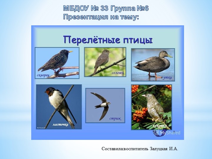 ПРЕЗЕНТАЦИЯ "ПЕРЕЛЕТНЫЕ ПТИЦЫ" К ПРОЕКТУ зОЛОТАЯ ОСЕНЬ - Скачать презентации бесплатно | Читать или скачать учебники для школы онлайн бесплатно ☑ Школьные учебники school-textbook.com