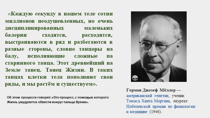 Размножение и его формы. - Скачать презентации бесплатно | Читать или скачать учебники для школы онлайн бесплатно ☑ Школьные учебники school-textbook.com