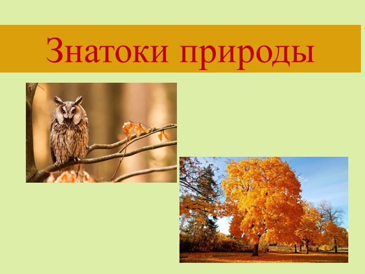 Презентация "Знатоки природы" по окружающему миру  - Скачать презентации бесплатно | Читать или скачать учебники для школы онлайн бесплатно ☑ Школьные учебники school-textbook.com