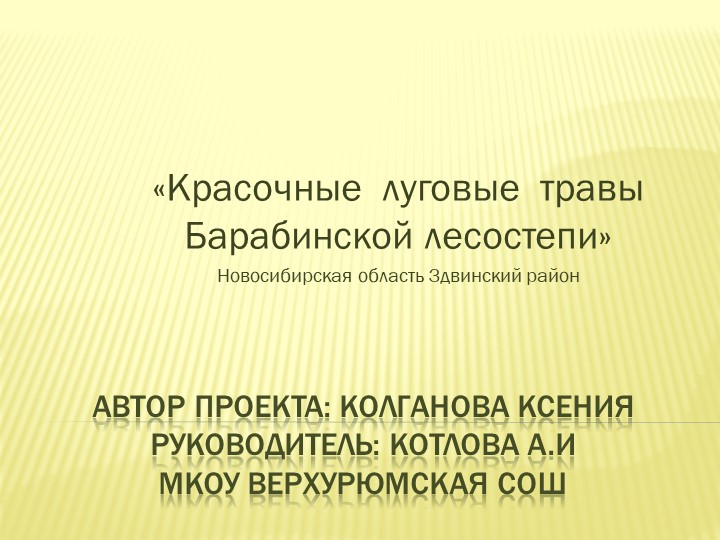 Презентация Экологический проект "Красочные луговые травы Барабинской лесостепи" - Скачать презентации бесплатно | Читать или скачать учебники для школы онлайн бесплатно ☑ Школьные учебники school-textbook.com