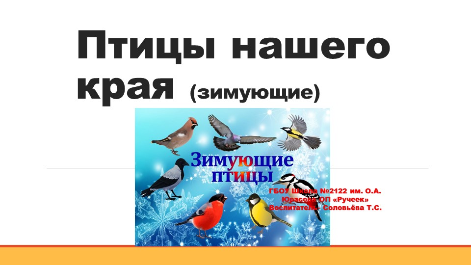 Презентация "Зимующие птицы" для ДОУ - Скачать презентации бесплатно | Читать или скачать учебники для школы онлайн бесплатно ☑ Школьные учебники school-textbook.com