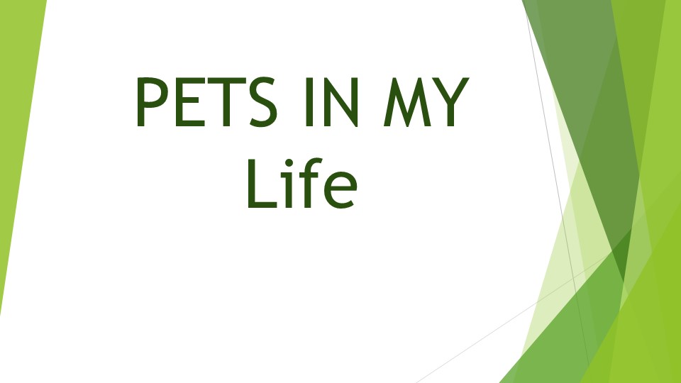 Презентация На тему "Pets in my life" - Скачать презентации бесплатно | Читать или скачать учебники для школы онлайн бесплатно ☑ Школьные учебники school-textbook.com