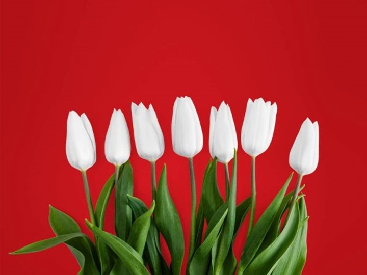 Квиз игра ко дню матери  - Скачать презентации бесплатно | Читать или скачать учебники для школы онлайн бесплатно ☑ Школьные учебники school-textbook.com