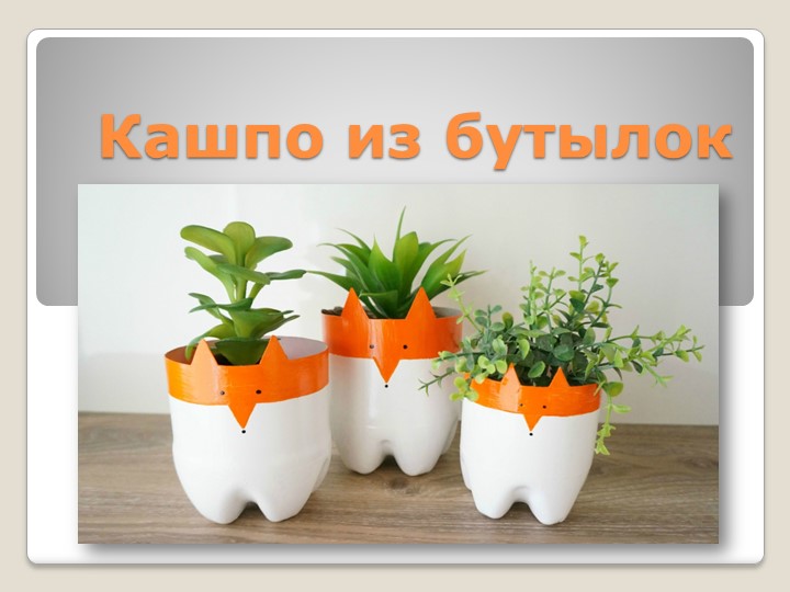Презентация для уроков технологии "Кашпо из бутылок" - Скачать презентации бесплатно | Читать или скачать учебники для школы онлайн бесплатно ☑ Школьные учебники school-textbook.com