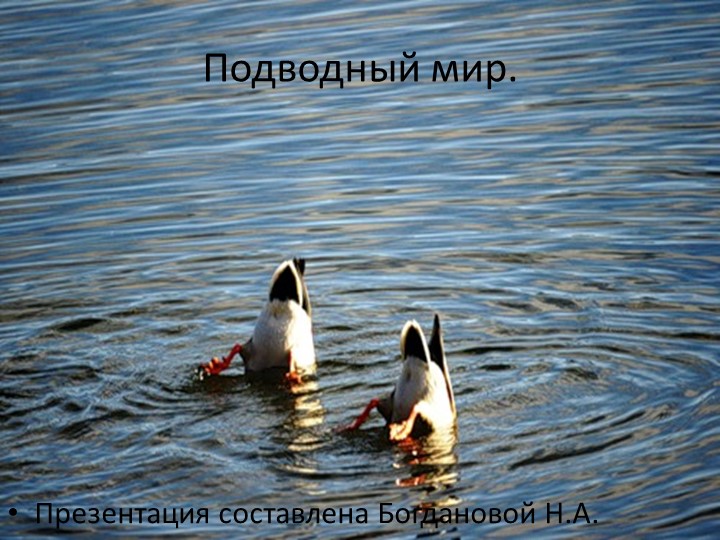 Презентация к уроку географии "Подводный мир" - Скачать презентации бесплатно | Читать или скачать учебники для школы онлайн бесплатно ☑ Школьные учебники school-textbook.com