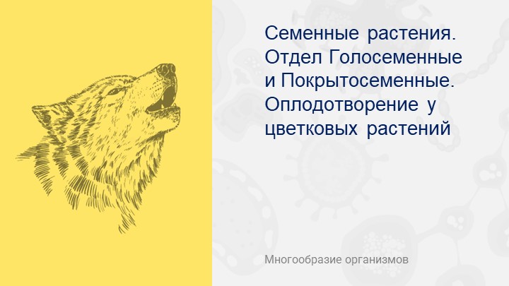 Презентация по биологии на тему "Семенные растения. Покрыто- и Голосеменные" - Скачать презентации бесплатно | Читать или скачать учебники для школы онлайн бесплатно ☑ Школьные учебники school-textbook.com