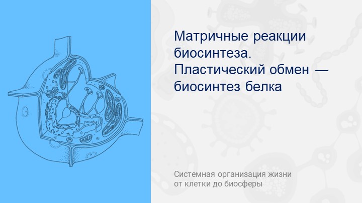 Презентация по биологии на тему "Пластический обмен. Биосинтез белка"  - Скачать презентации бесплатно | Читать или скачать учебники для школы онлайн бесплатно ☑ Школьные учебники school-textbook.com