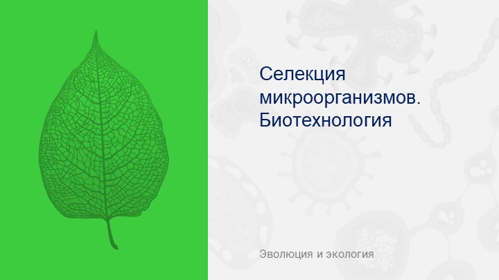 Презентация по биологии на тему "Биотехнологии" - Скачать презентации бесплатно | Читать или скачать учебники для школы онлайн бесплатно ☑ Школьные учебники school-textbook.com