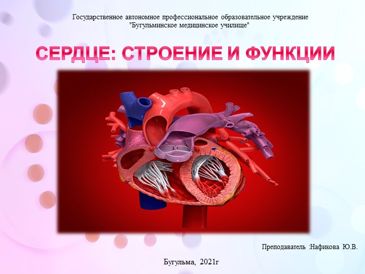 Презентация по анатомии и физиологии человека "Анатомия сердца"  - Скачать презентации бесплатно | Читать или скачать учебники для школы онлайн бесплатно ☑ Школьные учебники school-textbook.com