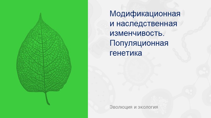 Презентация оп биологии на тему "Модификационная изменчивость" - Скачать презентации бесплатно | Читать или скачать учебники для школы онлайн бесплатно ☑ Школьные учебники school-textbook.com