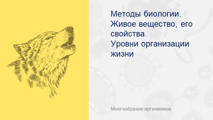 Презентация "Методы биологии и уровни организации жизни"  - Скачать презентации бесплатно | Читать или скачать учебники для школы онлайн бесплатно ☑ Школьные учебники school-textbook.com