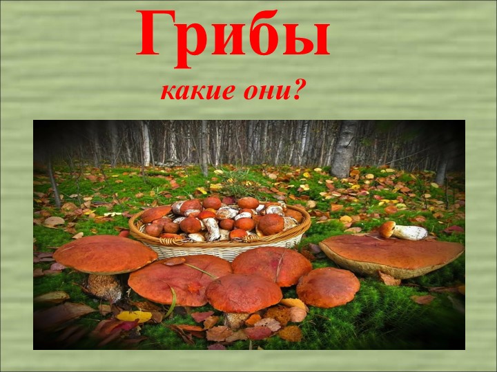 Интерактивная презентация "Грибы" подготовительная группа  - Скачать презентации бесплатно | Читать или скачать учебники для школы онлайн бесплатно ☑ Школьные учебники school-textbook.com