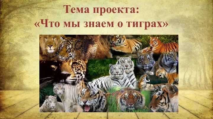 Презентация "Где живут тигры" - Скачать презентации бесплатно | Читать или скачать учебники для школы онлайн бесплатно ☑ Школьные учебники school-textbook.com