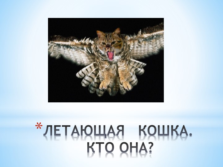 Презентация проекта "Летающая кошка или символ мудрости?" - Скачать презентации бесплатно | Читать или скачать учебники для школы онлайн бесплатно ☑ Школьные учебники school-textbook.com