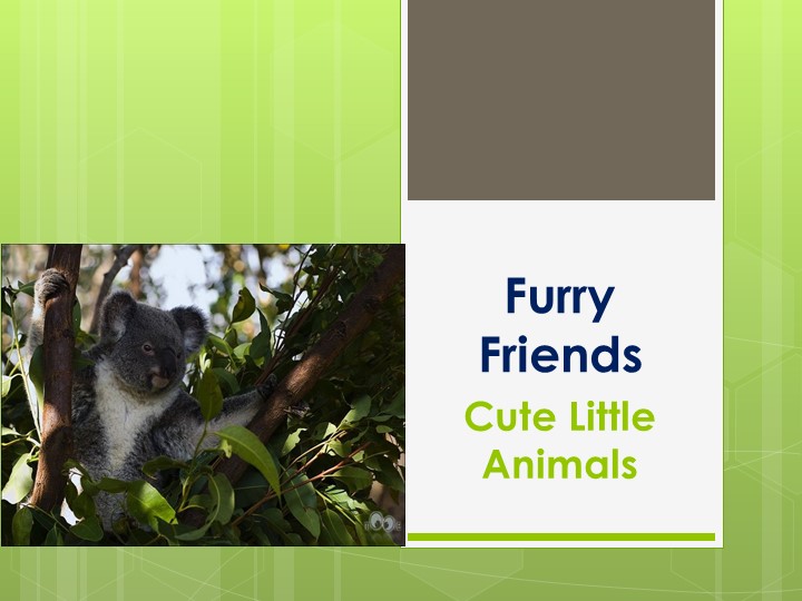 Презентация на тему наши пушистые друзья - Скачать презентации бесплатно | Читать или скачать учебники для школы онлайн бесплатно ☑ Школьные учебники school-textbook.com