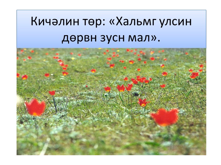 «Хальмг улсин дөрвн зусн мал».  - Скачать презентации бесплатно | Читать или скачать учебники для школы онлайн бесплатно ☑ Школьные учебники school-textbook.com