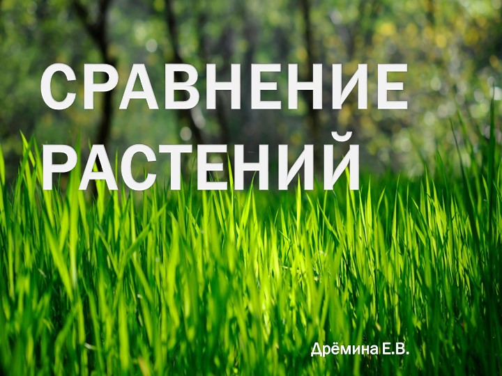 Презентация по мир природы и человека на тему: "Сравнение растений" (3 класс)  - Скачать презентации бесплатно | Читать или скачать учебники для школы онлайн бесплатно ☑ Школьные учебники school-textbook.com