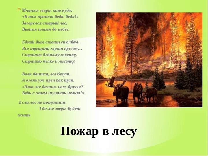 Презентация к уроку по Забайкаловедению на тему "Пожар в лесу" (3 класс) - Скачать презентации бесплатно | Читать или скачать учебники для школы онлайн бесплатно ☑ Школьные учебники school-textbook.com