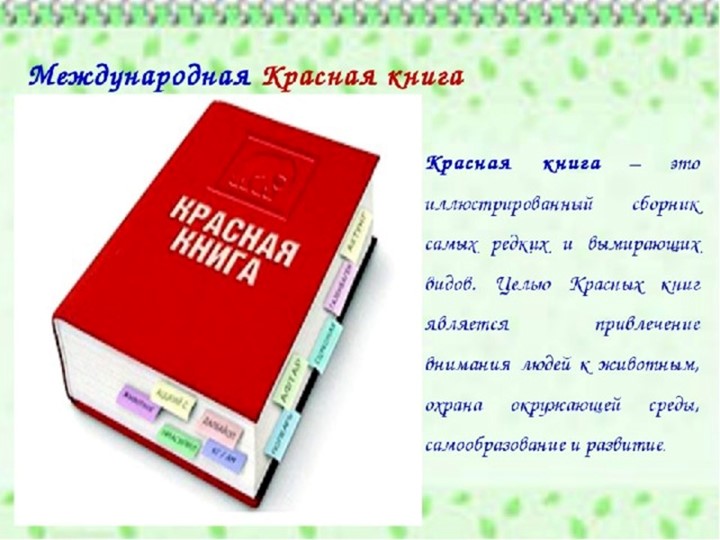 Презентация по биологии на тему "Красная книга" (7 класс) - Скачать презентации бесплатно | Читать или скачать учебники для школы онлайн бесплатно ☑ Школьные учебники school-textbook.com