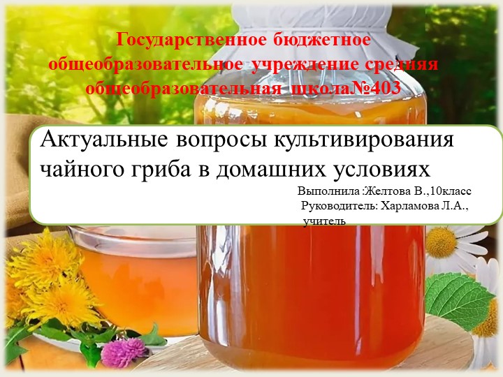 Презентация по биологии на тему "Грибы" - Скачать презентации бесплатно | Читать или скачать учебники для школы онлайн бесплатно ☑ Школьные учебники school-textbook.com