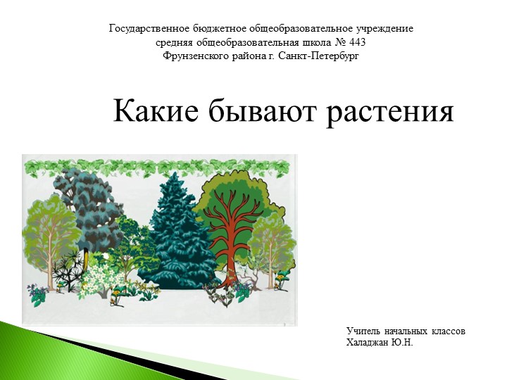 2 класс_Окружающий мир_Какие бывают растения - Скачать презентации бесплатно | Читать или скачать учебники для школы онлайн бесплатно ☑ Школьные учебники school-textbook.com