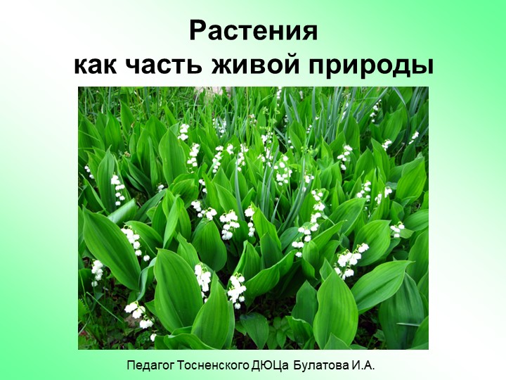 Растения - часть живой природы - Скачать презентации бесплатно | Читать или скачать учебники для школы онлайн бесплатно ☑ Школьные учебники school-textbook.com