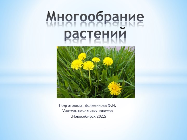 Презентация по окружающему миру на тему "Многообразие растений" (3 класс)  - Скачать презентации бесплатно | Читать или скачать учебники для школы онлайн бесплатно ☑ Школьные учебники school-textbook.com