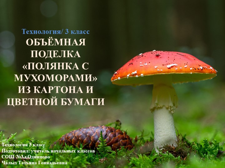 Презентация по технологии на тему: "Объёмная поделка «Полянка с мухоморами» из картона и цветной бумаги (1-4 классы).  - Скачать презентации бесплатно | Читать или скачать учебники для школы онлайн бесплатно ☑ Школьные учебники school-textbook.com