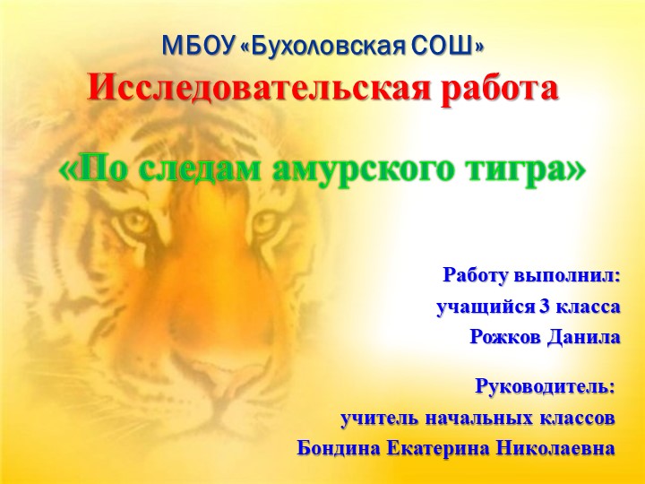 Презентация к исследовательской работе "По следам амурского тигра" - Скачать презентации бесплатно | Читать или скачать учебники для школы онлайн бесплатно ☑ Школьные учебники school-textbook.com
