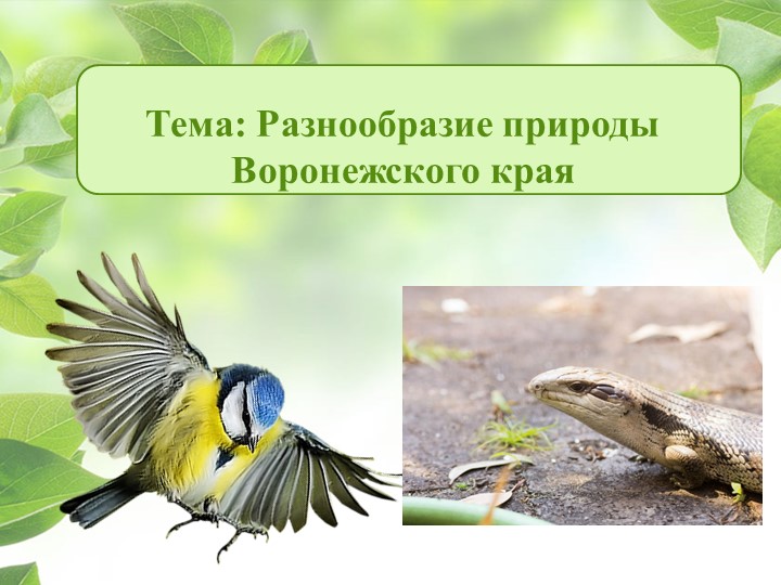 Презентация на тему "Разнообразие природы Воронежского края"  - Скачать презентации бесплатно | Читать или скачать учебники для школы онлайн бесплатно ☑ Школьные учебники school-textbook.com