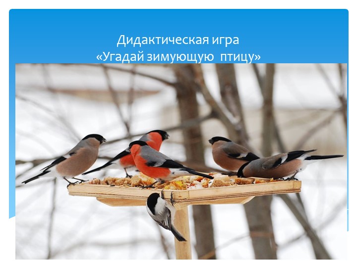 Презентация по ознакомлению с природой "Угадай зимующею птицу" (старшая группа) - Скачать презентации бесплатно | Читать или скачать учебники для школы онлайн бесплатно ☑ Школьные учебники school-textbook.com
