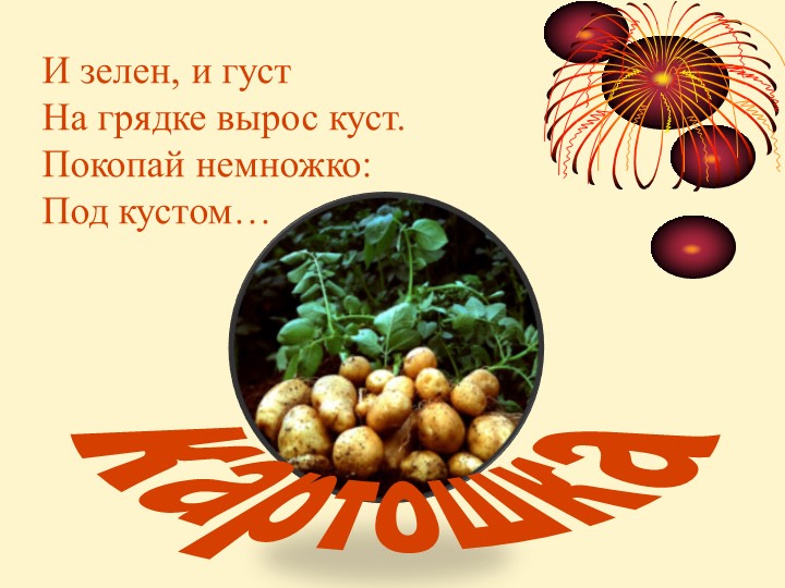 "Несколько секретов картофеля" Картофель - южноамериканское растение, до сих пор встречающееся на родине в диком виде. - Скачать презентации бесплатно | Читать или скачать учебники для школы онлайн бесплатно ☑ Школьные учебники school-textbook.com