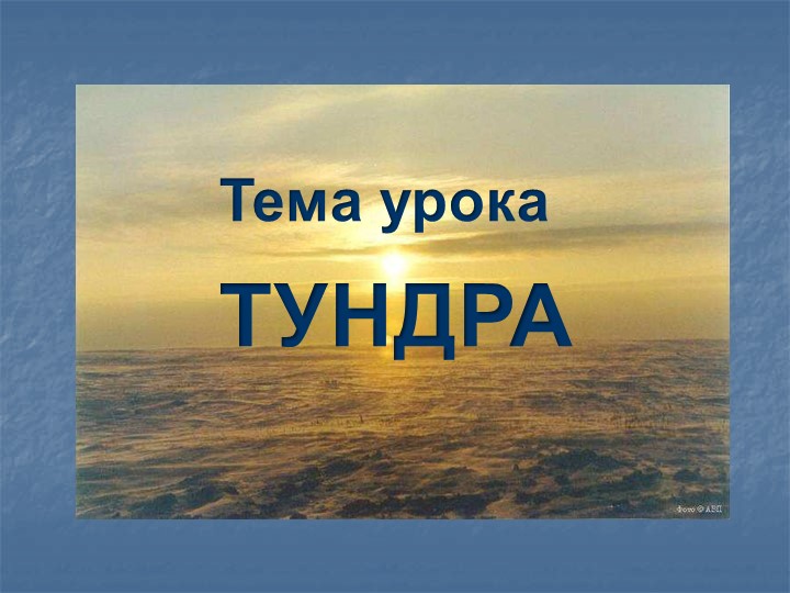 Презентация по окружающему миру на тему "Тундра" - Скачать презентации бесплатно | Читать или скачать учебники для школы онлайн бесплатно ☑ Школьные учебники school-textbook.com