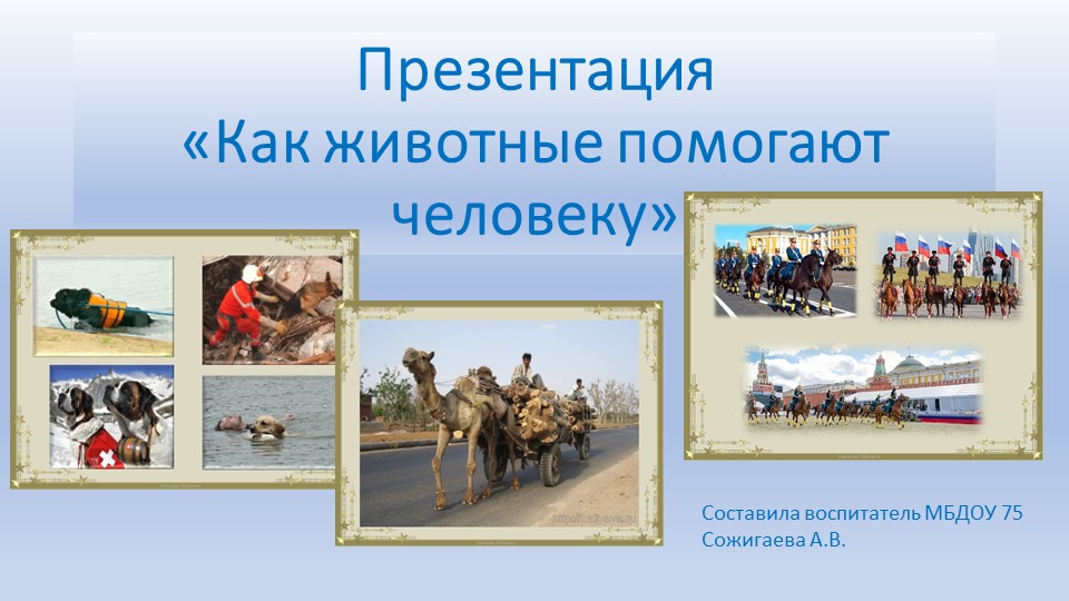 Презентация по окружающему миру "Как животные помогают человеку" - Скачать презентации бесплатно | Читать или скачать учебники для школы онлайн бесплатно ☑ Школьные учебники school-textbook.com