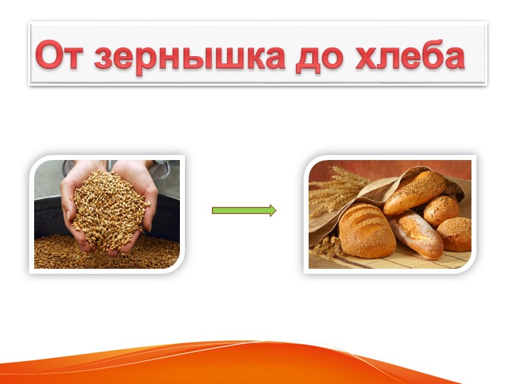 "От зернышка до хлеба"  - Скачать презентации бесплатно | Читать или скачать учебники для школы онлайн бесплатно ☑ Школьные учебники school-textbook.com