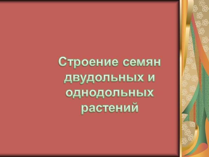 Сравнение строения сесмени однодольных и двудольных растений - Скачать презентации бесплатно | Читать или скачать учебники для школы онлайн бесплатно ☑ Школьные учебники school-textbook.com