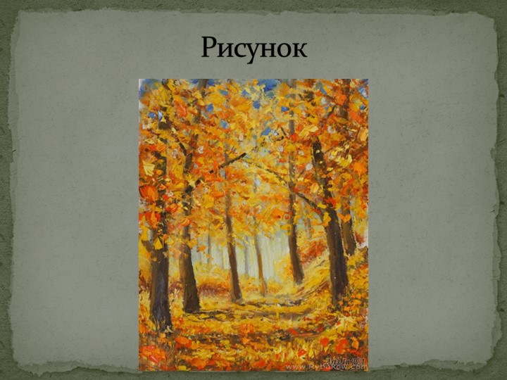 Презентация к уроку "Виды изображения земной поверхности (5 класс) - Скачать презентации бесплатно | Читать или скачать учебники для школы онлайн бесплатно ☑ Школьные учебники school-textbook.com