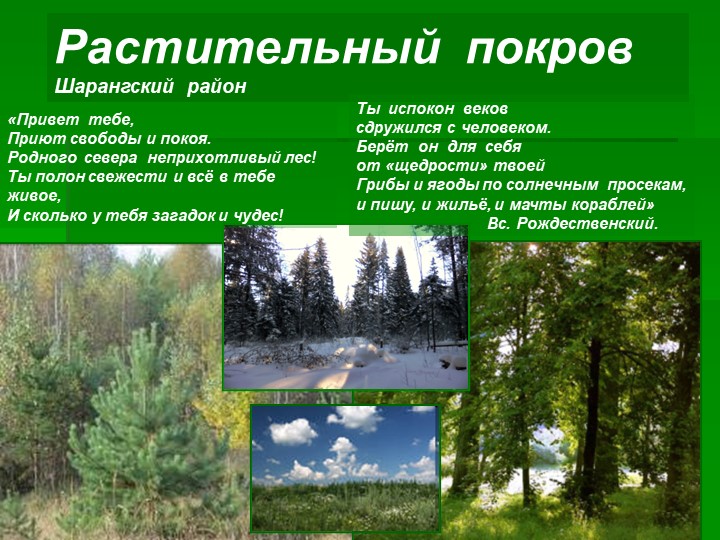 Растительность Шарагского района Нижегородской области - Скачать презентации бесплатно | Читать или скачать учебники для школы онлайн бесплатно ☑ Школьные учебники school-textbook.com