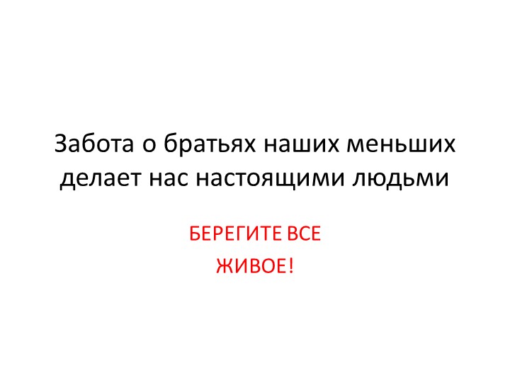 Презентация "Забота о братьях наших меньших." - Скачать презентации бесплатно | Читать или скачать учебники для школы онлайн бесплатно ☑ Школьные учебники school-textbook.com