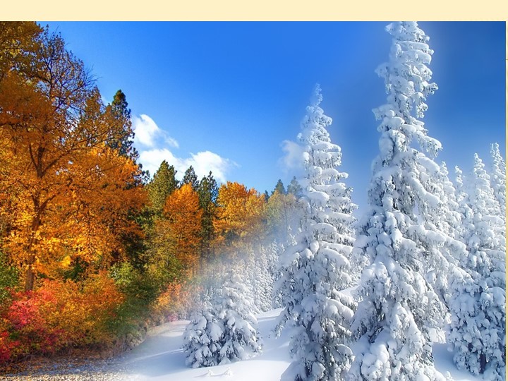 Презентация к уроку немецкого языка в 6 классе "Рождество" - Скачать презентации бесплатно | Читать или скачать учебники для школы онлайн бесплатно ☑ Школьные учебники school-textbook.com