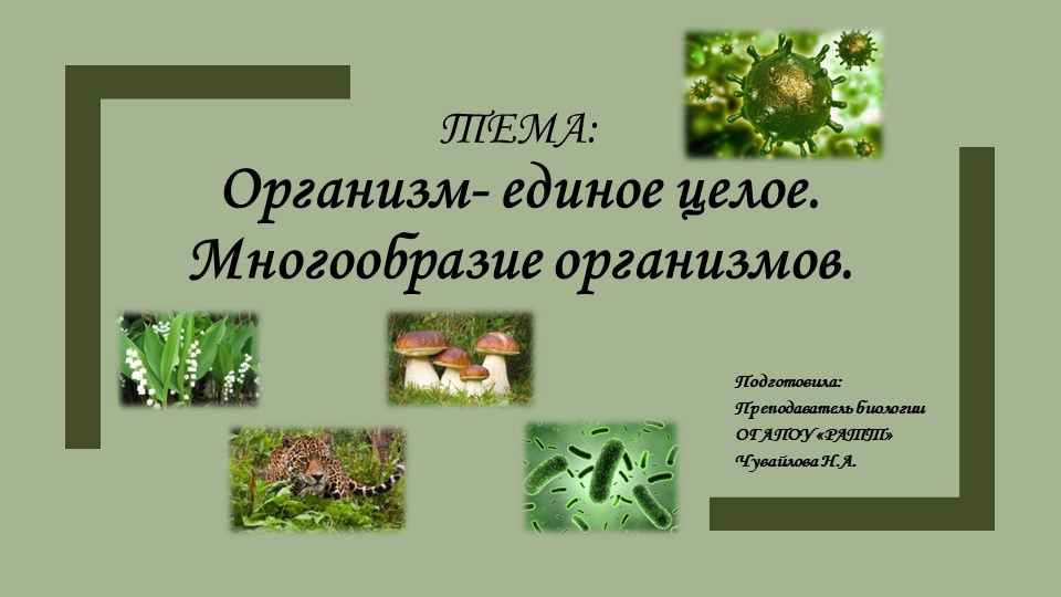 Презентация по биологии "Организм-единое целое. Многообразие организмов"  - Скачать презентации бесплатно | Читать или скачать учебники для школы онлайн бесплатно ☑ Школьные учебники school-textbook.com