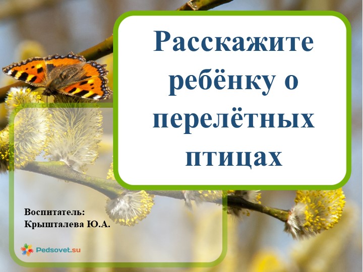 Презентация "Знакомство дошкольников с перелетными птицами"  - Скачать презентации бесплатно | Читать или скачать учебники для школы онлайн бесплатно ☑ Школьные учебники school-textbook.com