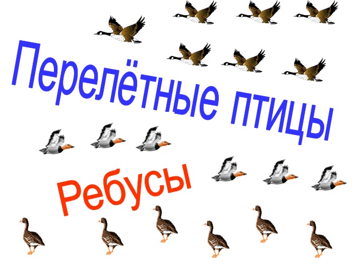 Ребусы на тему "Перелетные птицы" - Скачать презентации бесплатно | Читать или скачать учебники для школы онлайн бесплатно ☑ Школьные учебники school-textbook.com